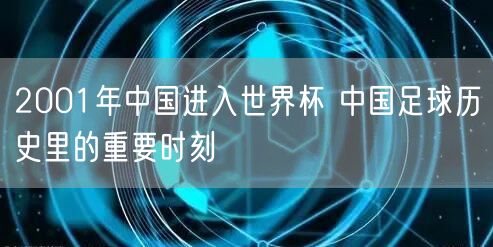 2001年中国进入世界杯 中国足球历史里的重要时刻