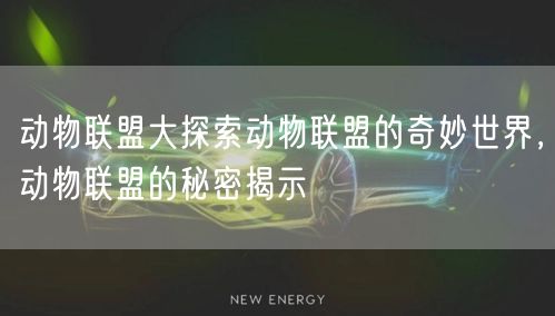 动物联盟大探索动物联盟的奇妙世界，动物联盟的秘密揭示