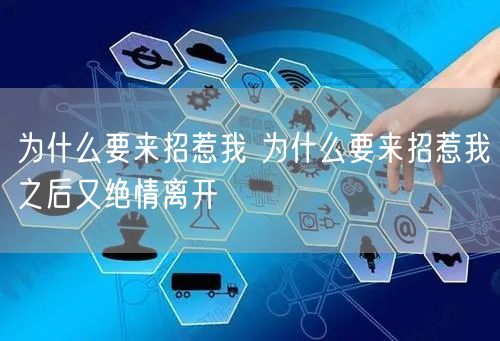 为什么要来招惹我 为什么要来招惹我之后又绝情离开