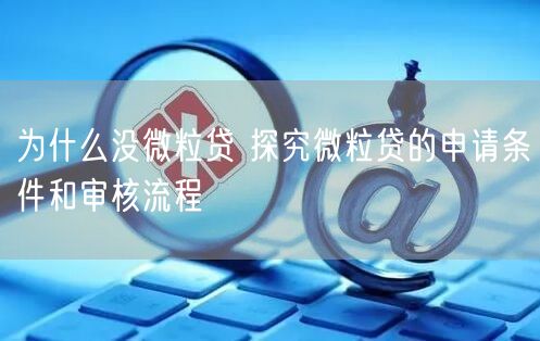 为什么没微粒贷 探究微粒贷的申请条件和审核流程