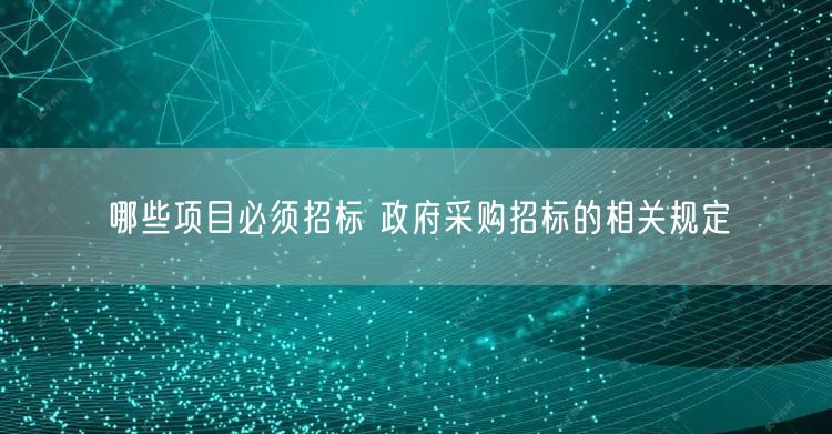 哪些项目必须招标 政府采购招标的相关规定