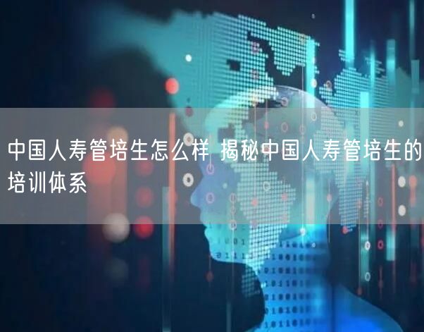 中国人寿管培生怎么样 揭秘中国人寿管培生的培训体系