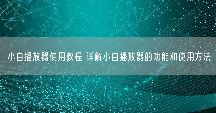 小白播放器使用教程 详解小白播放器的功能和使用方法