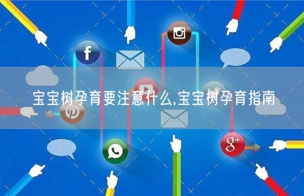 宝宝树孕育要注意什么,宝宝树孕育指南