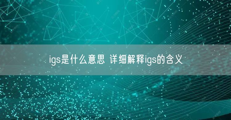 igs是什么意思 详细解释igs的含义