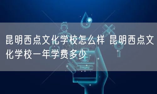 昆明西点文化学校怎么样 昆明西点文化学校一年学费多少