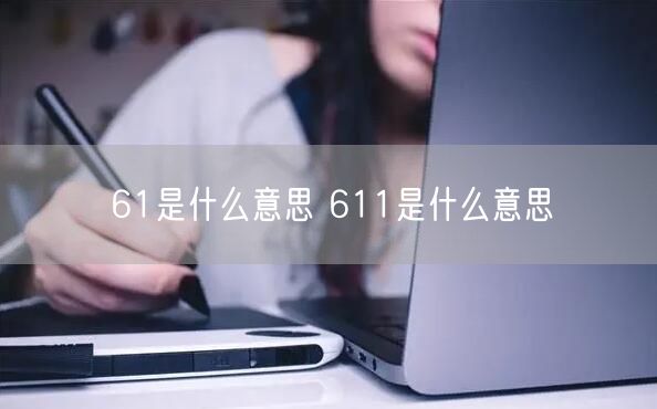 61是什么意思 611是什么意思