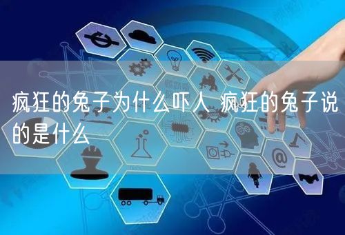 疯狂的兔子为什么吓人 疯狂的兔子说的是什么