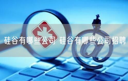 硅谷有哪些公司 硅谷有哪些公司招聘