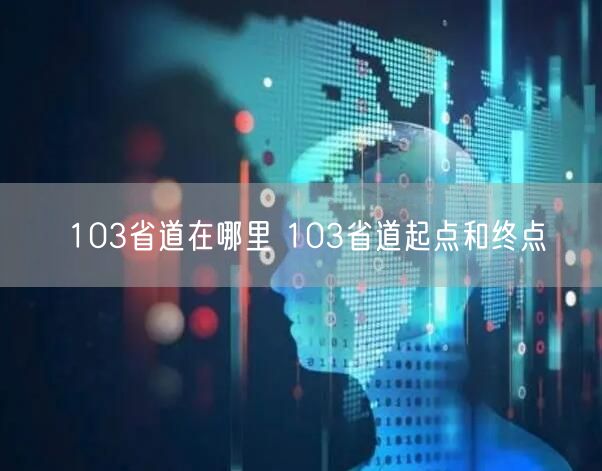 103省道在哪里 103省道起点和终点