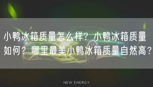 小鸭冰箱质量怎么样？小鸭冰箱质量如何？哪里最美小鸭冰箱质量自然高？