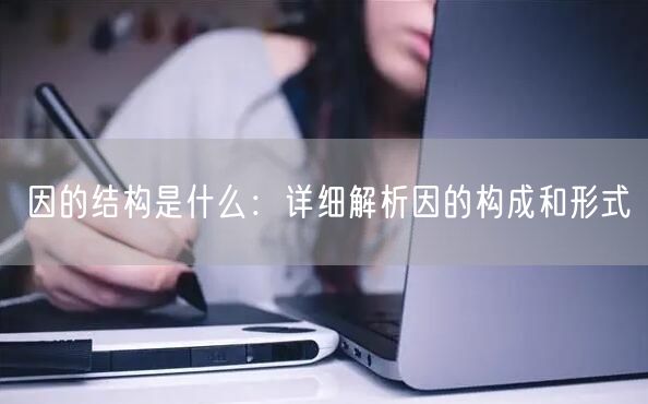 因的结构是什么：详细解析因的构成和形式