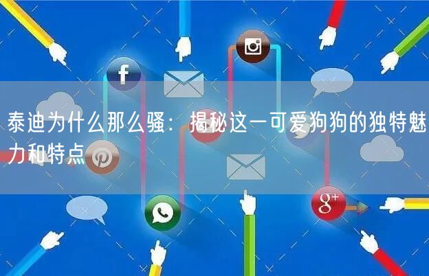 泰迪为什么那么骚：揭秘这一可爱狗狗的独特魅力和特点