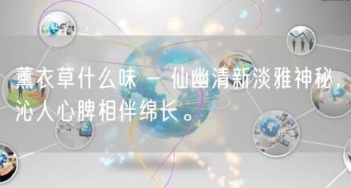 薰衣草什么味 - 仙幽清新淡雅神秘，沁人心脾相伴绵长。