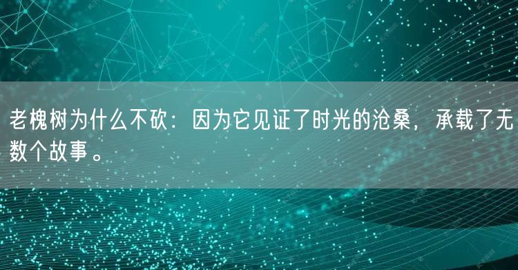 老槐树为什么不砍：因为它见证了时光的沧桑，承载了无数个故事。