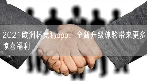 2021欧洲杯竞猜app：全新升级体验带来更多惊喜福利