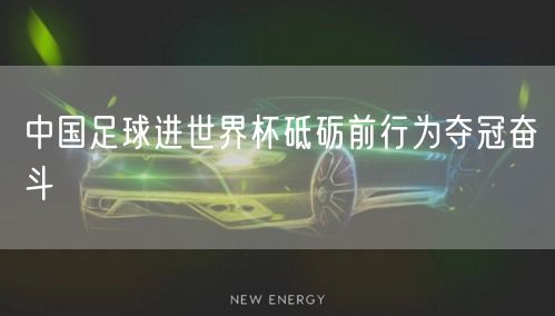 中国足球进世界杯砥砺前行为夺冠奋斗