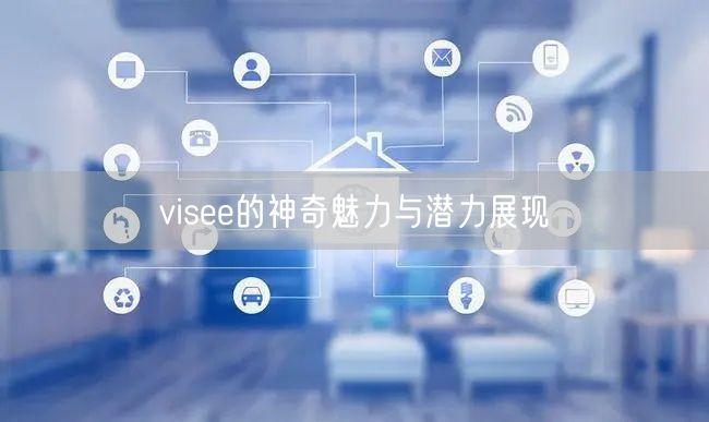 visee的神奇魅力与潜力展现