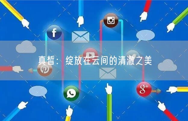 真皙：绽放在云间的清澈之美