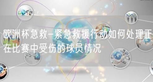 欧洲杯急救-紧急救援行动如何处理正在比赛中受伤的球员情况