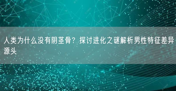 人类为什么没有阴茎骨？探讨进化之谜解析男性特征差异源头