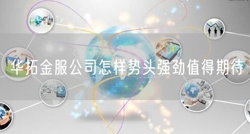 华拓金服公司怎样势头强劲值得期待