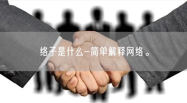 络子是什么-简单解释网络。