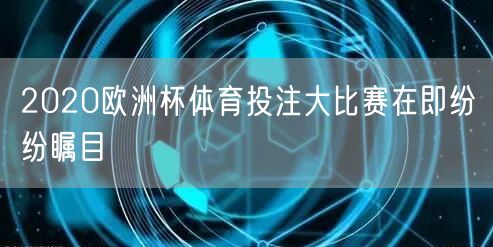 2020欧洲杯体育投注大比赛在即纷纷瞩目