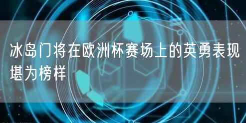 冰岛门将在欧洲杯赛场上的英勇表现堪为榜样