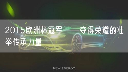 2015欧洲杯冠军——夺得荣耀的壮举传承力量