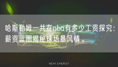 哈斯勒姆一共在nba有多少工资探究：薪资蓝图揭秘球场暴风情。