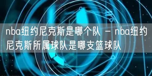 nba纽约尼克斯是哪个队 - nba纽约尼克斯所属球队是哪支篮球队