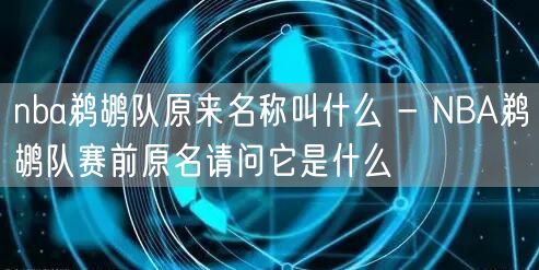 nba鹈鹕队原来名称叫什么 - NBA鹈鹕队赛前原名请问它是什么