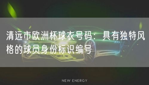 清远市欧洲杯球衣号码：具有独特风格的球员身份标识编号