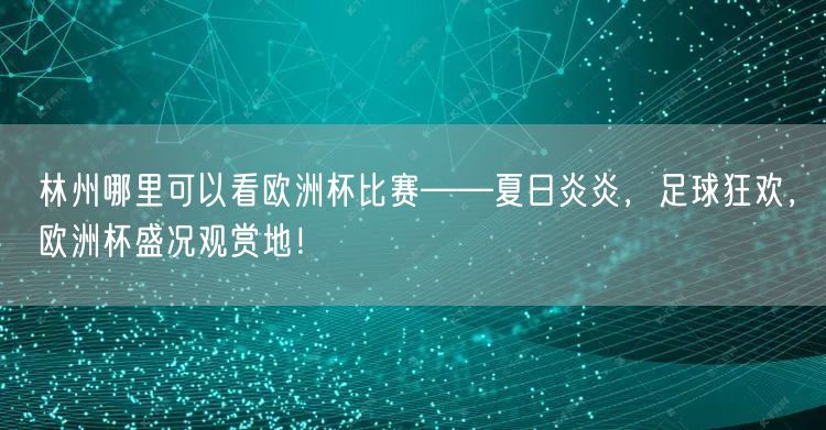 林州哪里可以看欧洲杯比赛——夏日炎炎，足球狂欢，欧洲杯盛况观赏地！