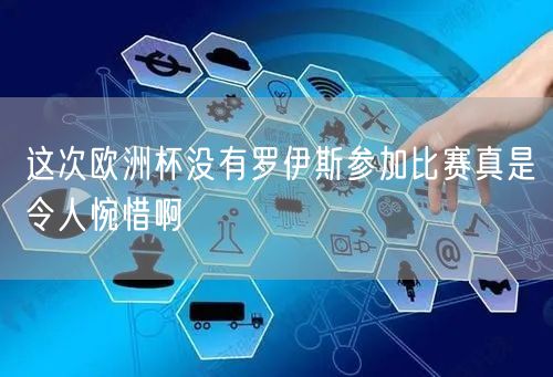 这次欧洲杯没有罗伊斯参加比赛真是令人惋惜啊