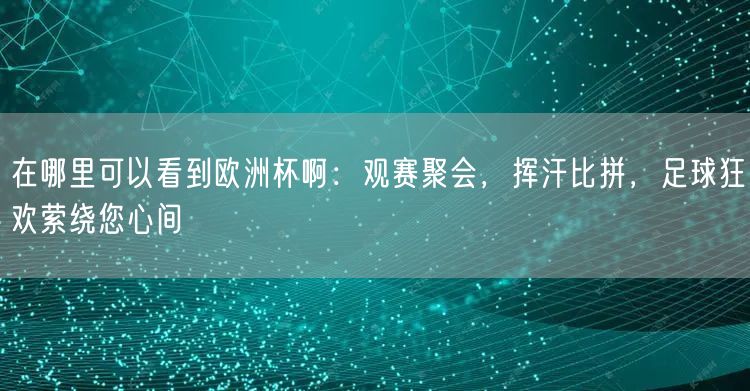 在哪里可以看到欧洲杯啊：观赛聚会，挥汗比拼，足球狂欢萦绕您心间