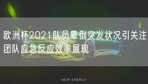 欧洲杯2021队员晕倒突发状况引关注团队应急反应效率展现