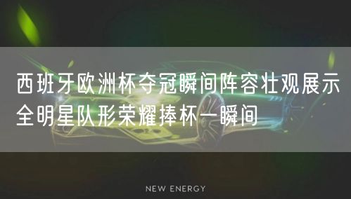 西班牙欧洲杯夺冠瞬间阵容壮观展示全明星队形荣耀捧杯一瞬间