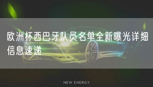 欧洲杯西巴牙队员名单全新曝光详细信息速递