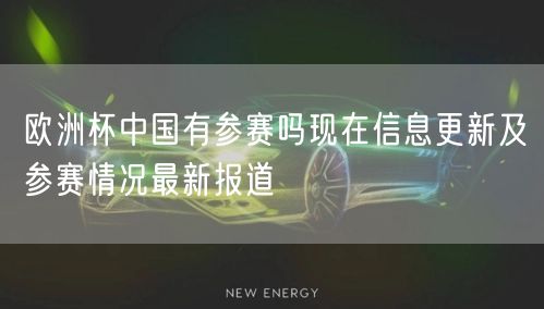 欧洲杯中国有参赛吗现在信息更新及参赛情况最新报道