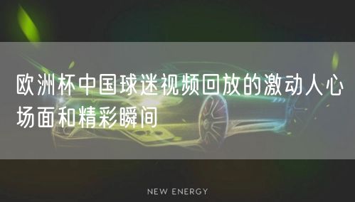 欧洲杯中国球迷视频回放的激动人心场面和精彩瞬间