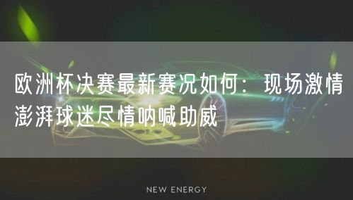 欧洲杯决赛最新赛况如何：现场激情澎湃球迷尽情呐喊助威