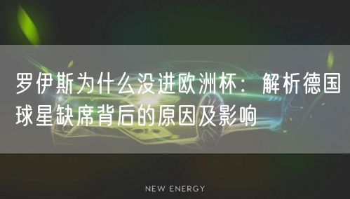 罗伊斯为什么没进欧洲杯：解析德国球星缺席背后的原因及影响