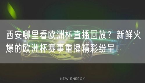 西安哪里看欧洲杯直播回放？新鲜火爆的欧洲杯赛事重播精彩纷呈！