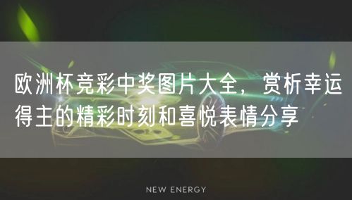 欧洲杯竞彩中奖图片大全，赏析幸运得主的精彩时刻和喜悦表情分享