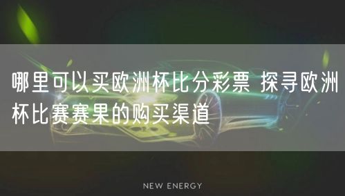 哪里可以买欧洲杯比分彩票 探寻欧洲杯比赛赛果的购买渠道