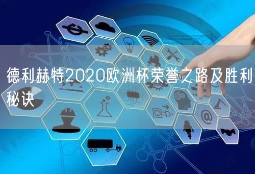 德利赫特2020欧洲杯荣誉之路及胜利秘诀