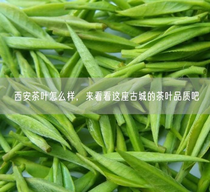 西安茶叶怎么样，来看看这座古城的茶叶品质吧