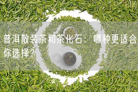 普洱散装茶和茶化石：哪种更适合你选择？